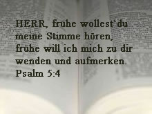 offene Bibel mit Gebet